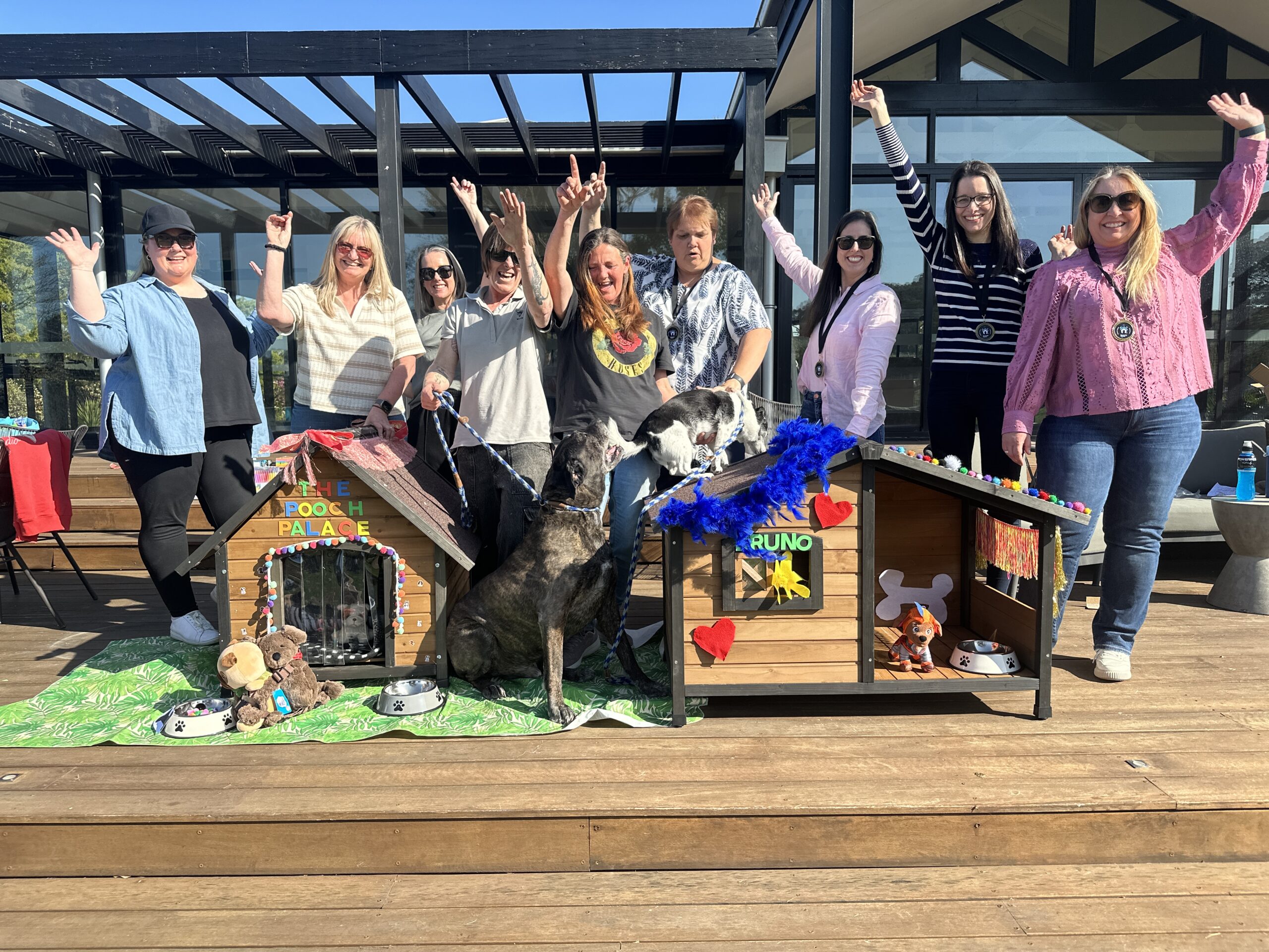 ActivityHQ - Dynamic Teams Australia - Kennel Express 2024
